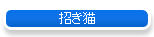 ǭ