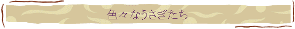 ʤ