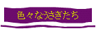 ʤ